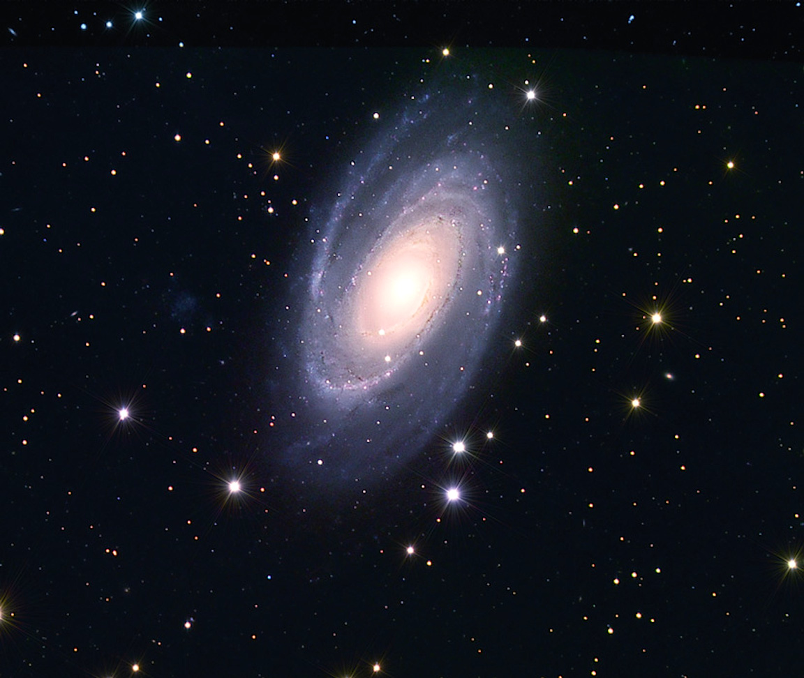 M81